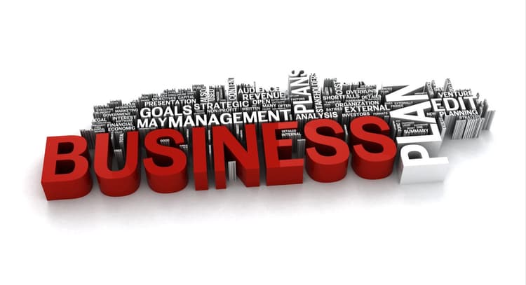 livesession | Entrepreneur's Playbook: Step-by-Step Guide to Crafting a Business Plan